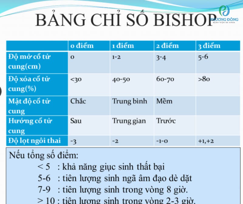 Chỉ số bishop là gì