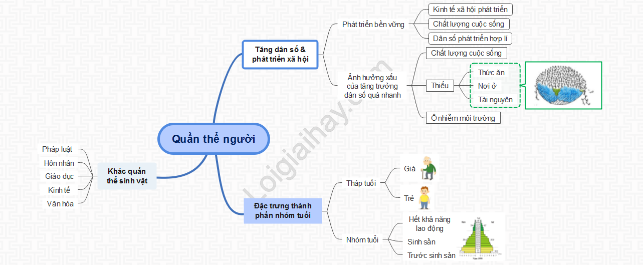 Sự khác nhau giữa quần thể người với các quần thể sinh vật khác