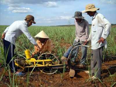 Bài  lao động cần cù sáng tạo